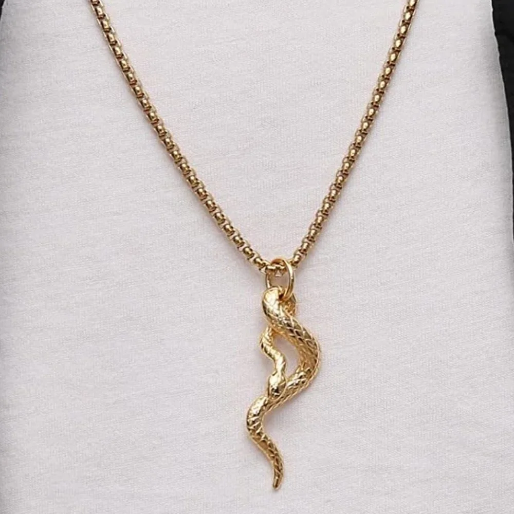 Pagan Wiccan Snake Chain